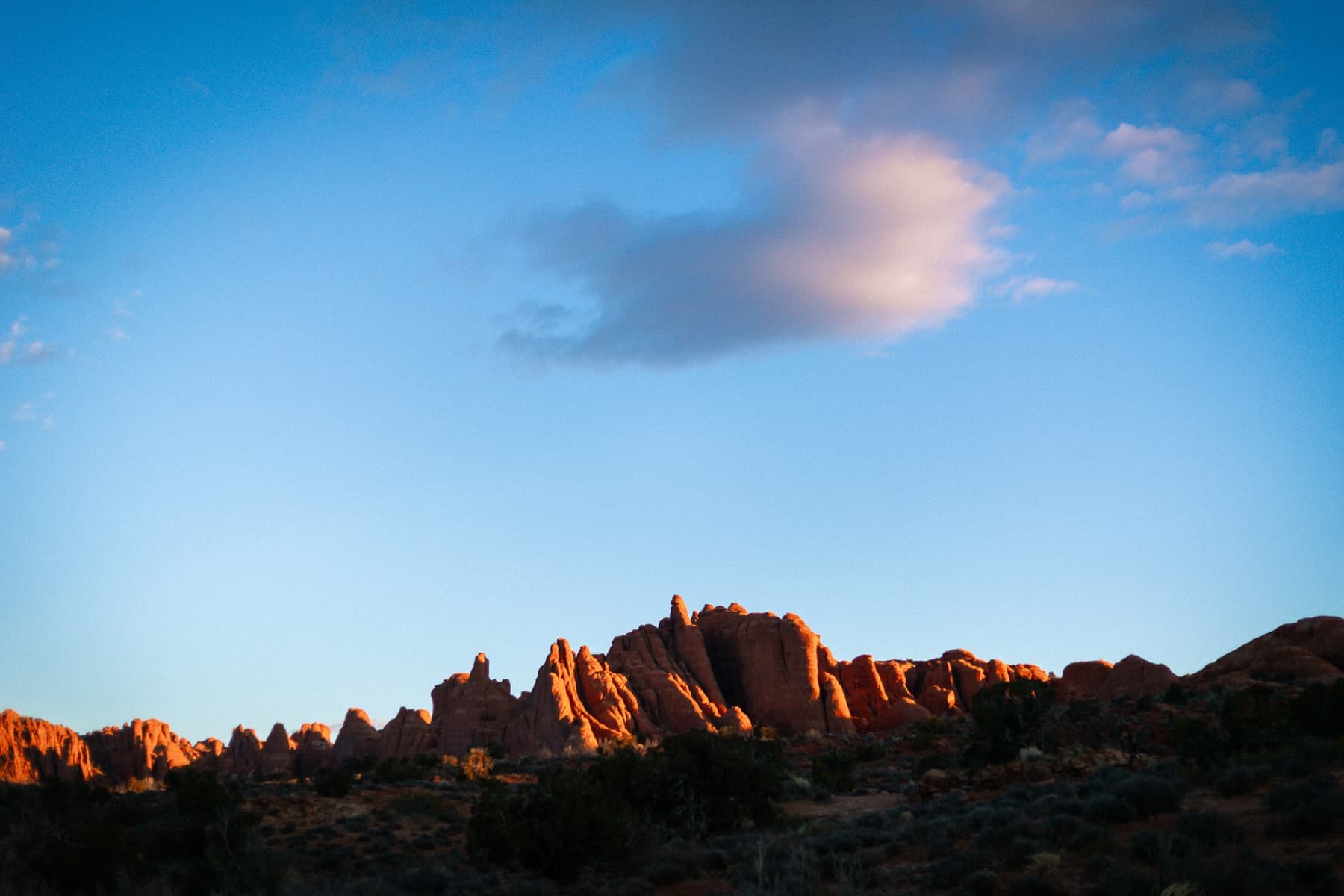 Sandstone fins glowing at sunrise in Arches National Park