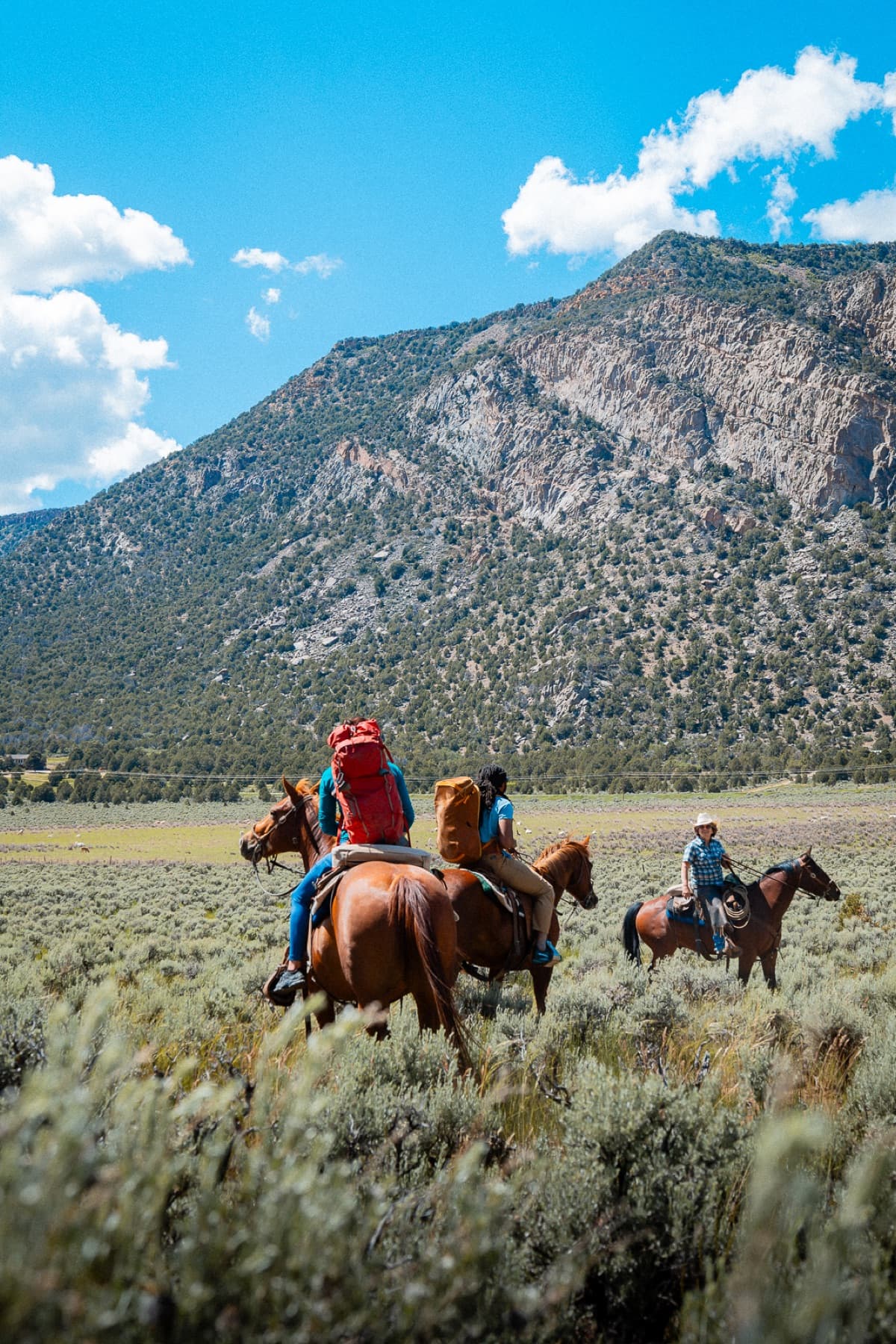 horse riding grand junction colorado