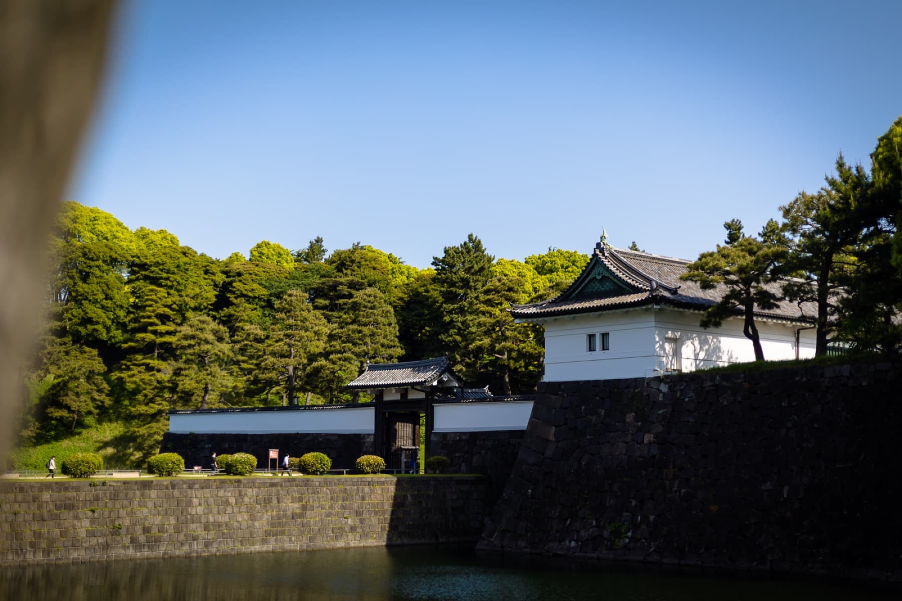 tokyo kokyo gaien national garden 05 landscape