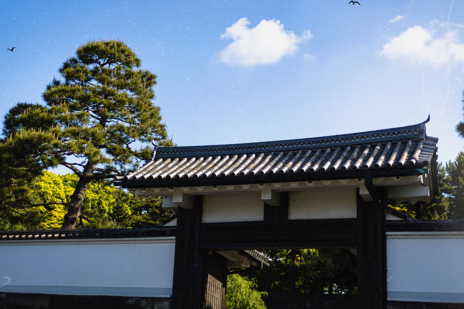 A gate at the Tokyo National Gardens in soft light with film grain
